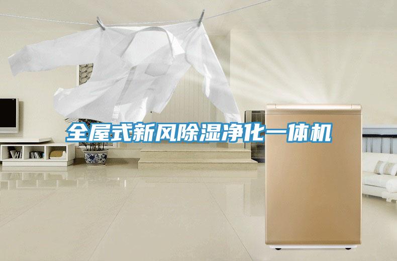 全屋式新风除湿净化一体机