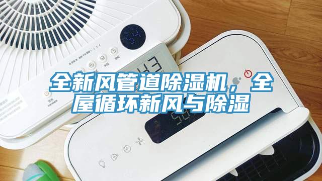 全新风管道除湿机，全屋循环新风与除湿
