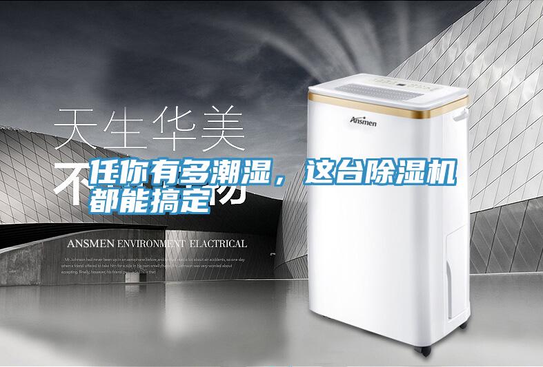 任你有多潮湿，这台除湿机都能搞定
