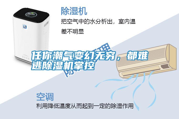 任你潮气变幻无穷，都难逃除湿机掌控