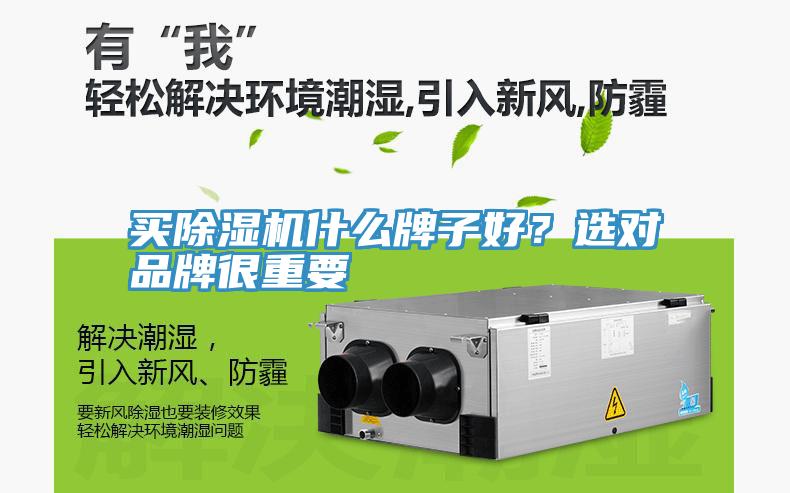 买除湿机什么牌子好？选对品牌很重要