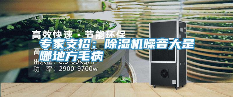 专家支招：除湿机噪音大是哪地方毛病