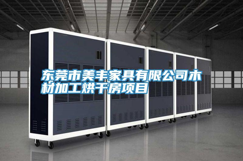 东莞市美丰家具有限公司木材加工烘干房项目