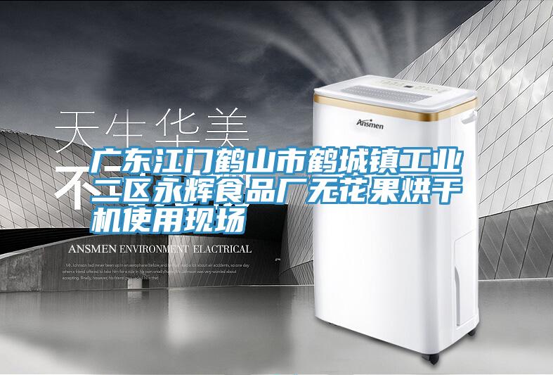 广东江门鹤山市鹤城镇工业二区永辉食品厂无花果烘干机使用现场