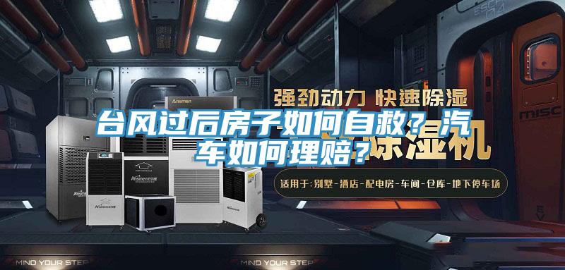 台风过后房子如何自救？汽车如何理赔？