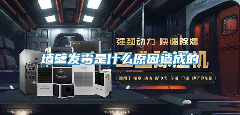 墙壁发霉是什么原因造成的