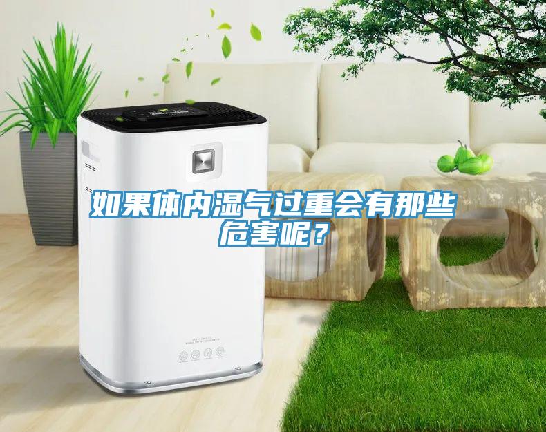 如果体内湿气过重会有那些危害呢？
