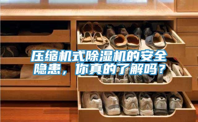 压缩机式除湿机的安全隐患，你真的了解吗？