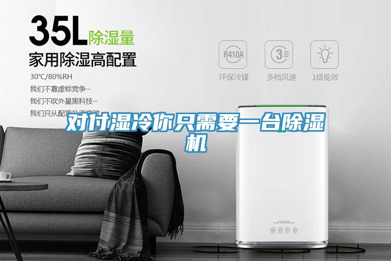 对付湿冷你只需要一台除湿机