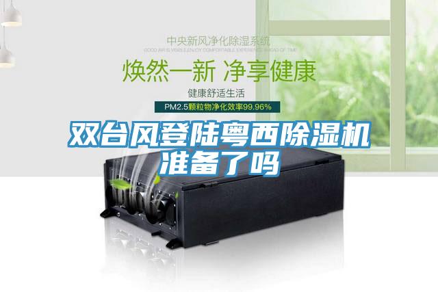 双台风登陆粤西除湿机准备了吗