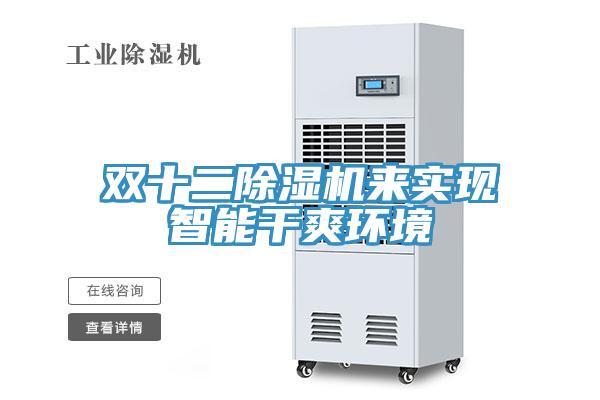 双十二除湿机来实现智能干爽环境