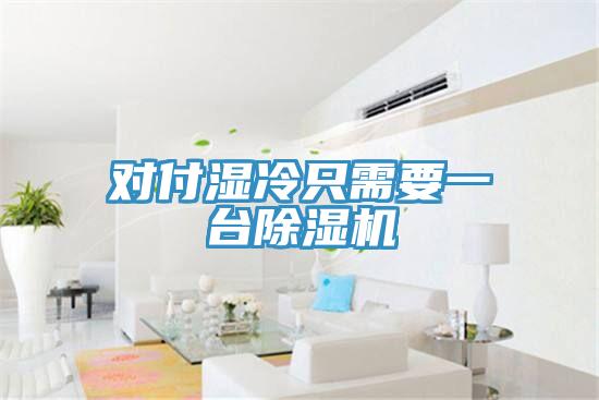 对付湿冷只需要一台除湿机