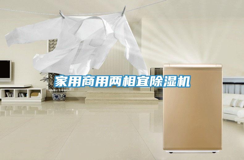 家用商用两相宜除湿机