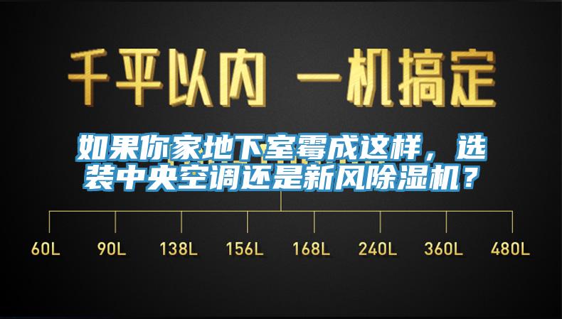 如果你家地下室霉成这样，选装中央空调还是新风除湿机？