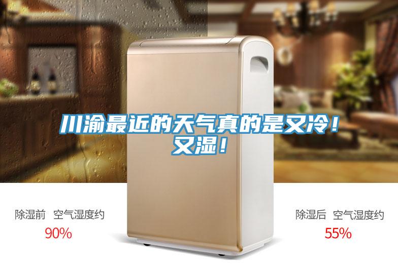 川渝最近的天气真的是又冷！又湿！