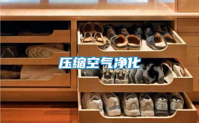 压缩空气净化