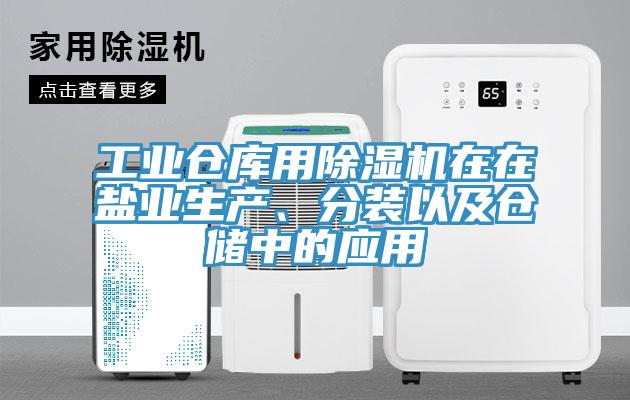 工业仓库用除湿机在在盐业生产、分装以及仓储中的应用