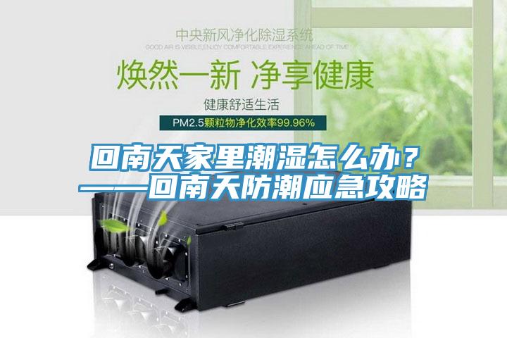 回南天家里潮湿怎么办？——回南天防潮应急攻略