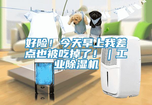 好险！今天早上我差点也被吃掉了！｜工业除湿机