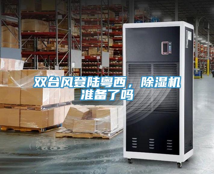 双台风登陆粤西，除湿机准备了吗