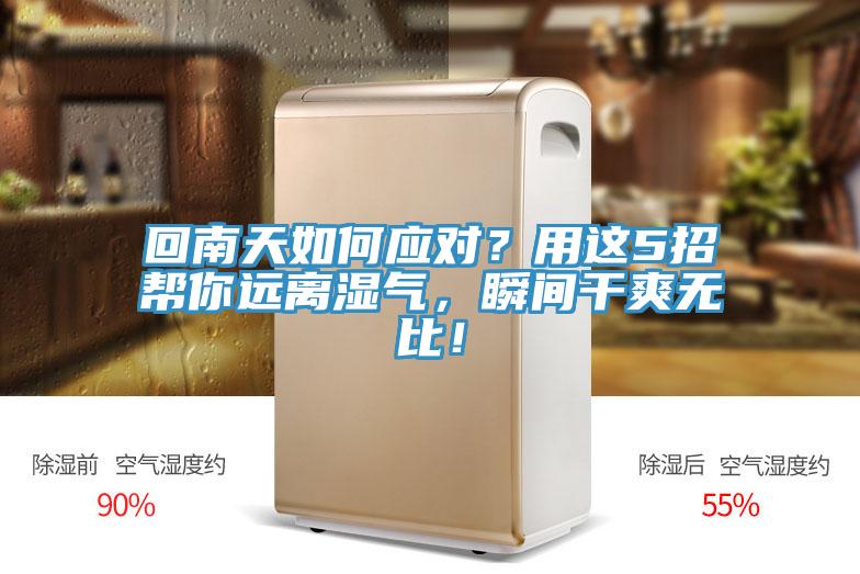 回南天如何应对？用这5招帮你远离湿气，瞬间干爽无比！