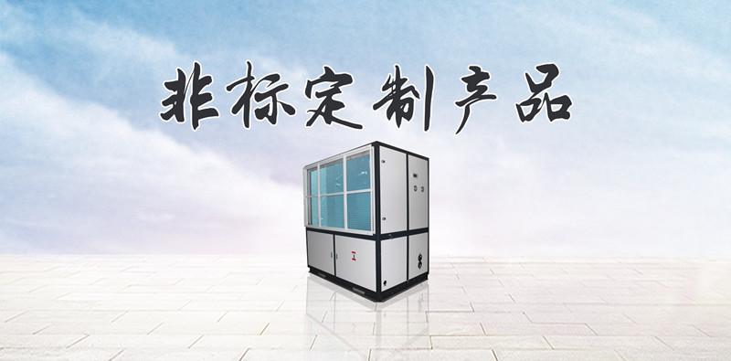 坚果干燥用除湿机效果好