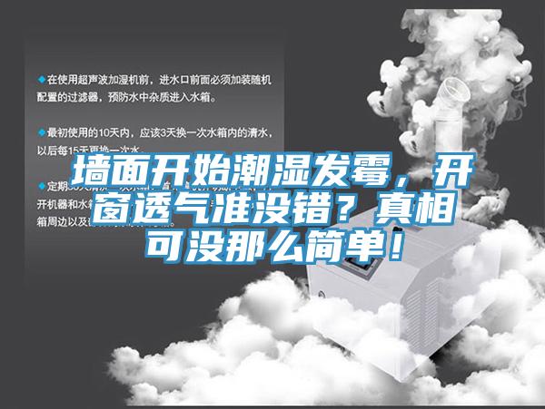 墙面开始潮湿发霉，开窗透气准没错？真相可没那么简单！