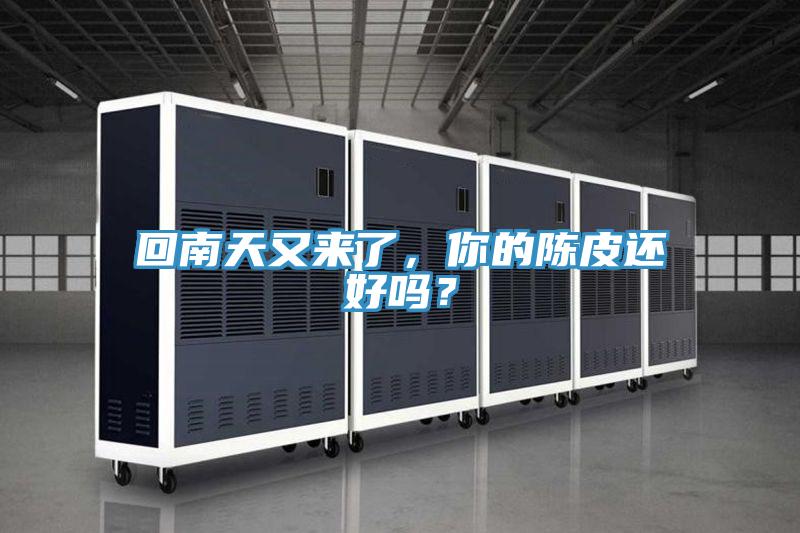 回南天又来了，你的陈皮还好吗？