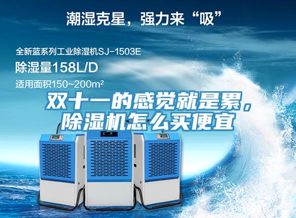 双十一的感觉就是累，除湿机怎么买便宜