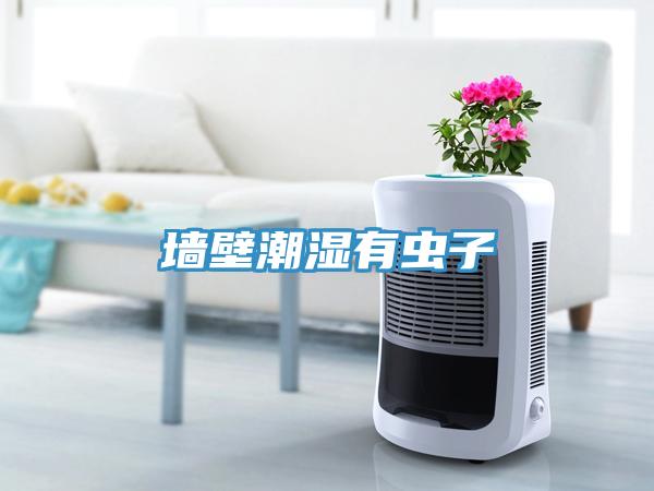 墙壁潮湿有虫子
