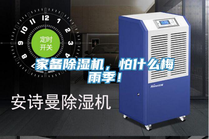 家备除湿机，怕什么梅雨季！