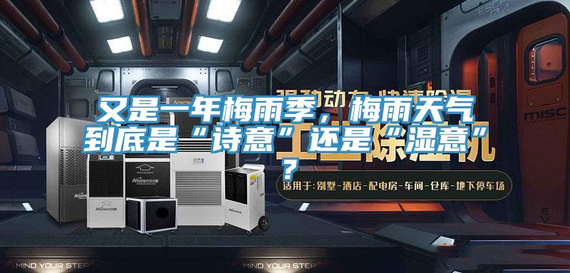 又是一年梅雨季，梅雨天气到底是“诗意”还是“湿意”？