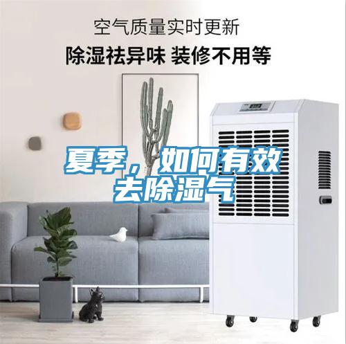 夏季，如何有效去除湿气