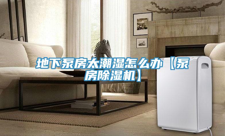 地下泵房太潮湿怎么办【泵房除湿机】