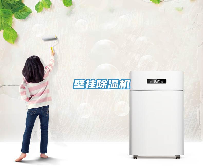 壁挂除湿机
