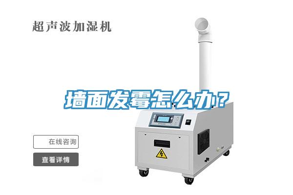墙面发霉怎么办？