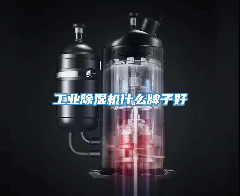 工业除湿机什么牌子好