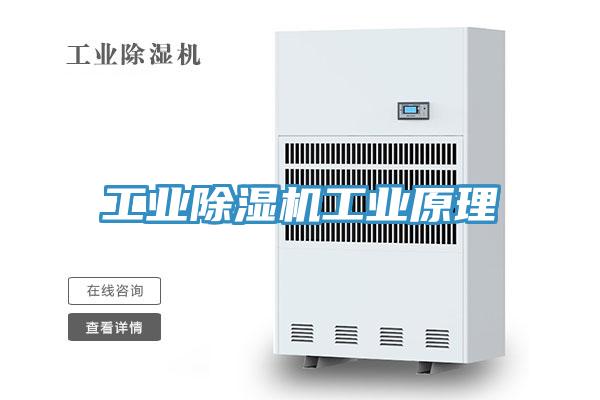 工业除湿机工业原理
