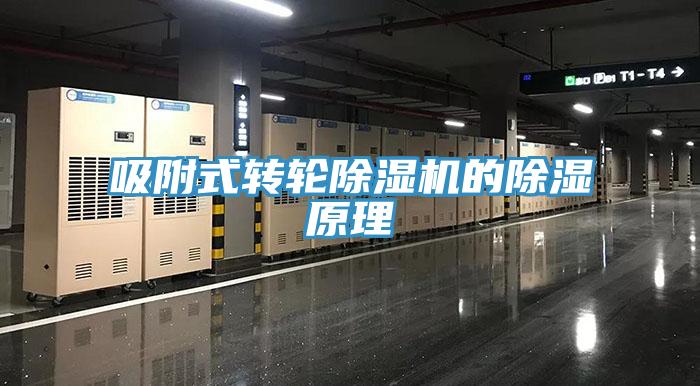 吸附式转轮除湿机的除湿原理