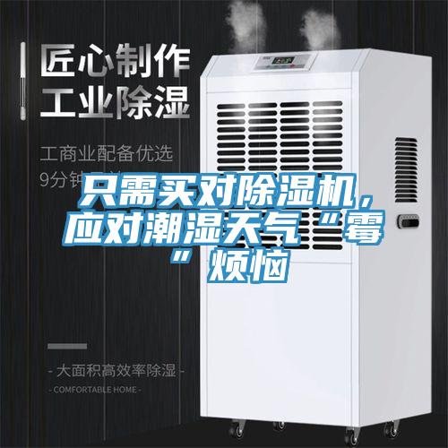 只需买对除湿机，应对潮湿天气“霉”烦恼