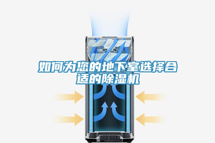 如何为您的地下室选择合适的除湿机