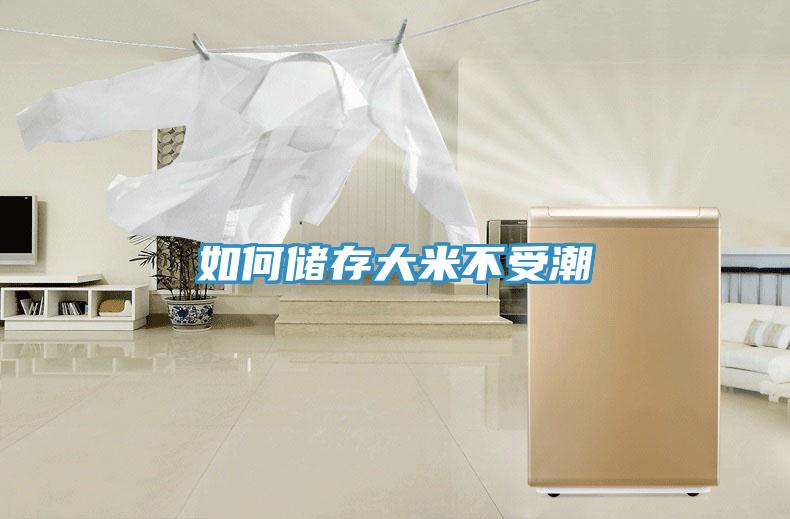 如何储存大米不受潮