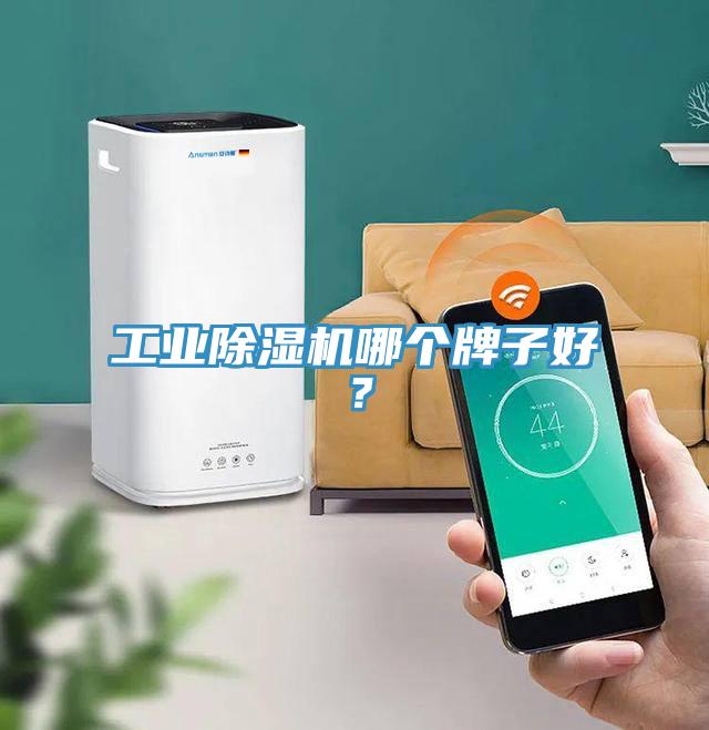 工业除湿机哪个牌子好？