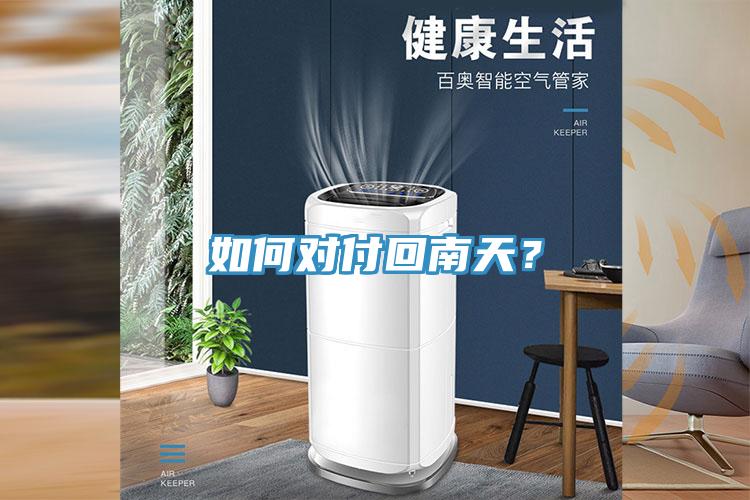 如何对付回南天？