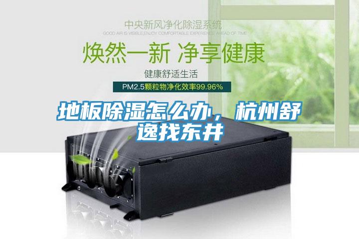 地板除湿怎么办，杭州舒逸找东井