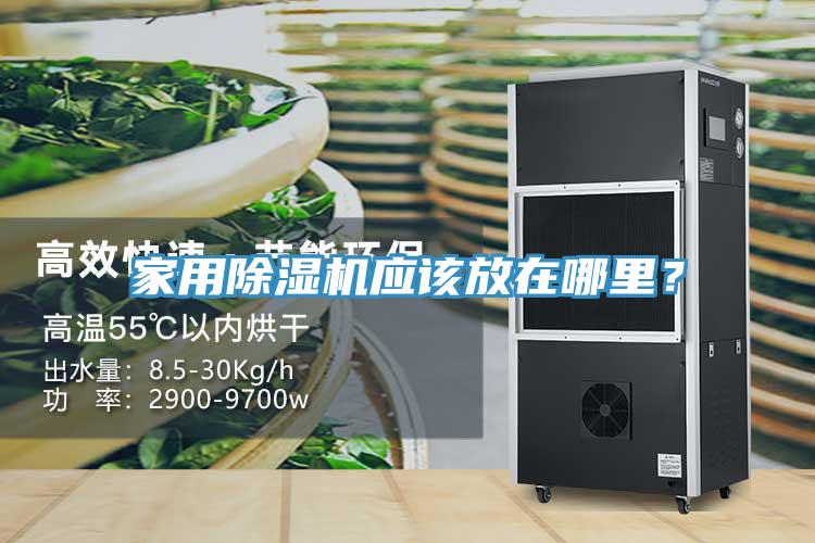 家用除湿机应该放在哪里？