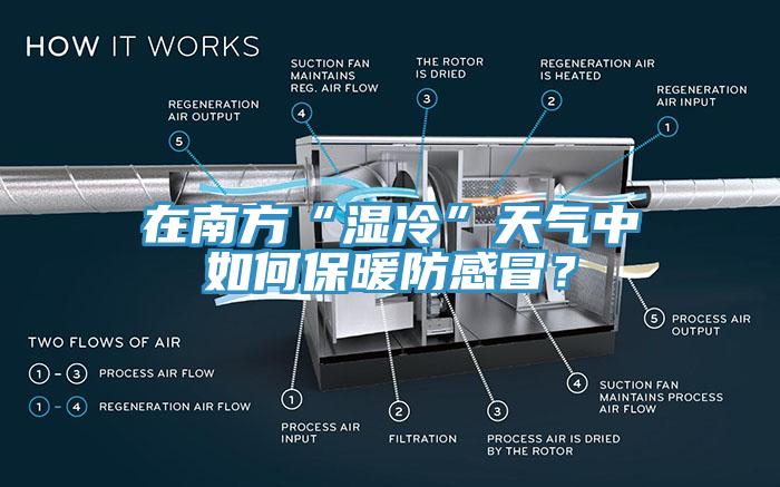 在南方“湿冷”天气中如何保暖防感冒？