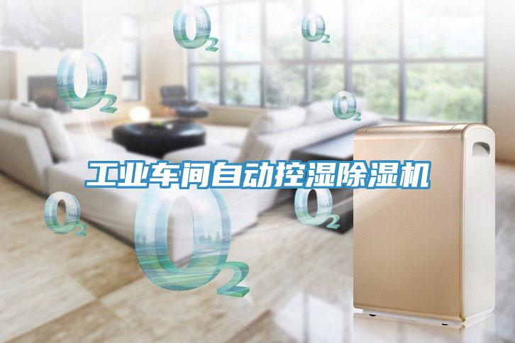 工业车间自动控湿除湿机