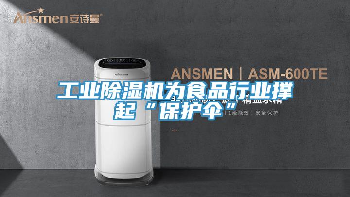工业除湿机为食品行业撑起“保护伞”