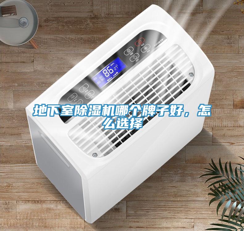地下室除湿机哪个牌子好，怎么选择